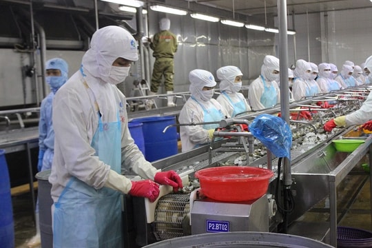 Gỡ khó cho doanh nghiệp thủy sản