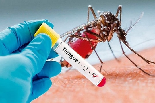 TP.HCM xuất hiện 9 ổ dịch sốt xuất huyết mới ngay đầu mùa mưa