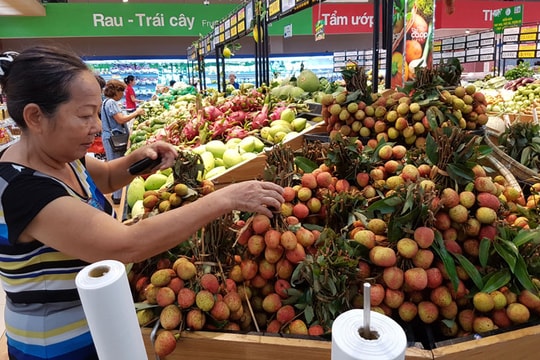 Mở đầu ra cho vải thiều