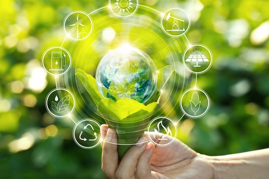 Nghịch lý kinh tế môi trường Nghịch lý kinh tế môi trường