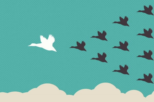 17 bí quyết giúp nhà quản lý xây dựng niềm tin với đội ngũ