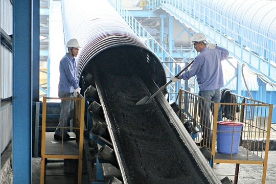 Việt Nam có tốc độ tăng trưởng điện than đặc biệt cao trong năm 2019