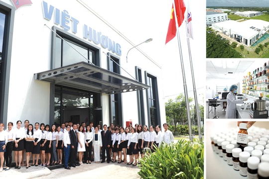 Việt Hương 25 năm phát triển ngành hương liệu