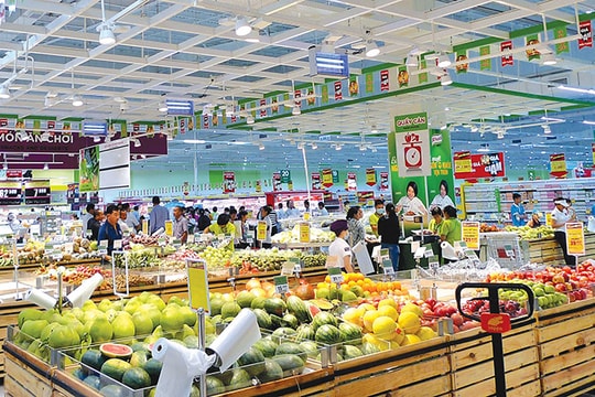 Kích cầu tiêu dùng nội địa: Cần phù hợp, kịp thời