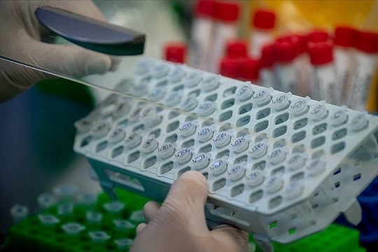 Nga: Triệt đường dây chợ đen bán thuốc chữa HIV giá “cắt cổ” để ngừa Covid-19