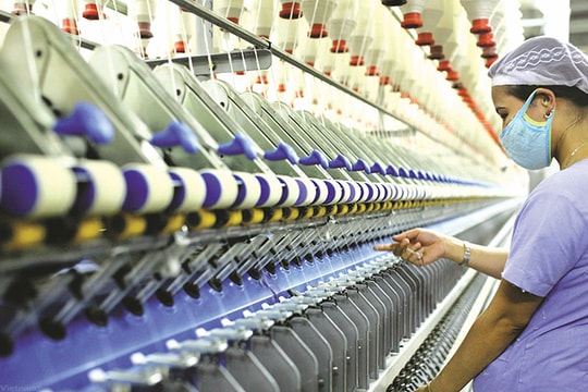 EVFTA không có chỗ cho doanh nghiệp thiếu kiên trì