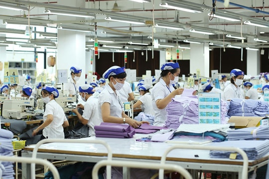 Vượt khủng hoảng Covid-19 và phục hồi kinh tế cách nào? (Kỳ 1)