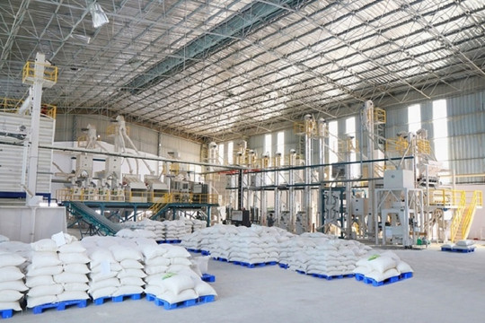 Hoàn thành nhập kho dự trữ quốc gia 190.000 tấn gạo, 80.000 tấn thóc