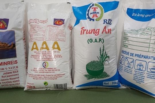 Được giảm thuế, gạo Việt bán vào EU tăng lên 1.000 USD/tấn
