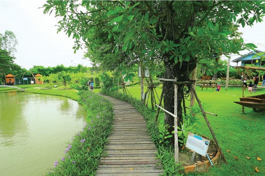 Chạy về với bu