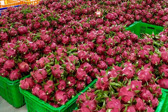 Nông sản Việt liên tục sang EU sau EVFTA