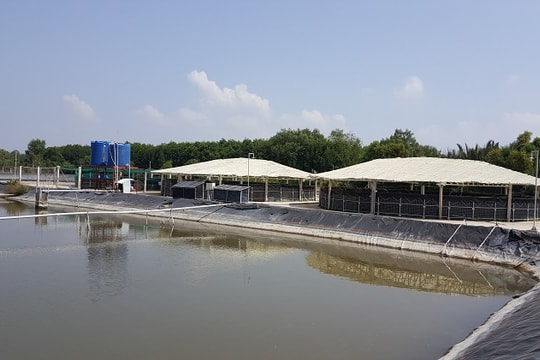 ADM giảm cường độ sử dụng nước và chất thải chôn lấp