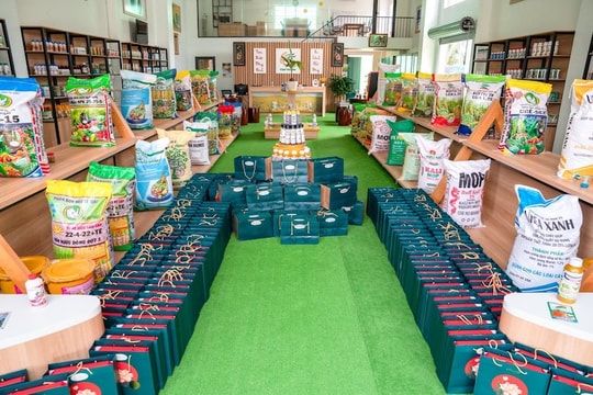 Doanh nghiệp bao tiêu đầu ra 2.000ha lúa chất lượng cao