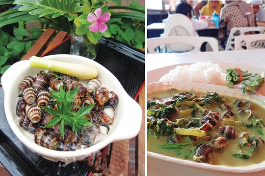 Ba thằng nhà quê "ngáo" ốc len xào dừa