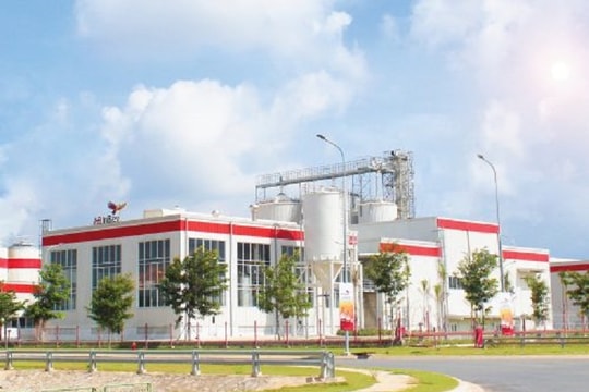 Hành trình lan toả ước mơ của Anheuser-Busch InBev tại Việt Nam