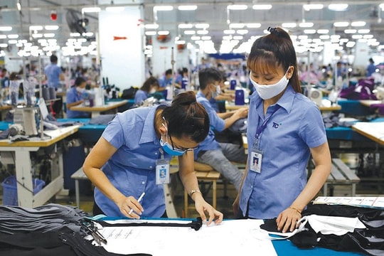 VITAS cầu cứu bộ Công Thương trước nguy cơ hàng xuất khẩu bị điều tra áp thuế tại Mỹ