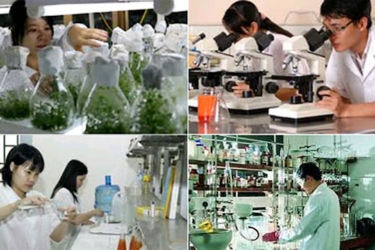 Nên dành nhiều ưu đãi cho doanh nghiệp áp dụng công nghệ