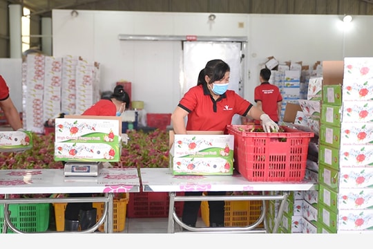 Những doanh nhân can trường - Bài 2: Nuôi nhân sự mùa dịch, họ đã làm thế nào?