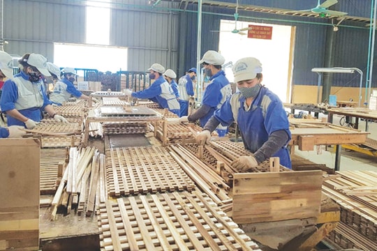 Ngành gỗ gặp đại họa vì bị... “rửa” xuất xứ Ngành gỗ gặp đại họa vì bị... “rửa” xuất xứ