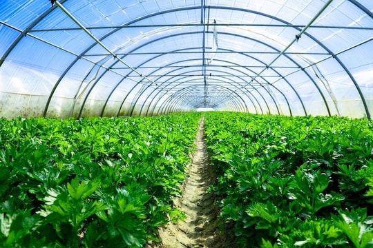 Khuyến khích chuyển đổi công nghệ mới, công nghệ sạch thân thiện môi trường