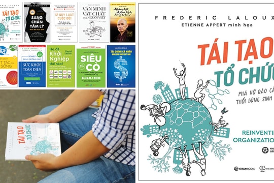 Tái tạo tổ chức: Tri thức cấp tiến trong mô hình tổ chức mới
