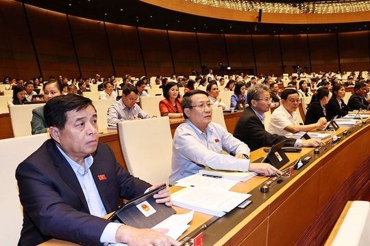 TP.HCM tổ chức chính quyền đô thị từ giữa 2021