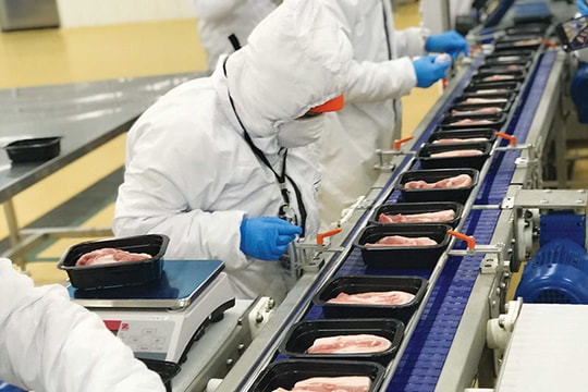 15 năm kiếm tìm niềm tin và những lời hứa dở dang