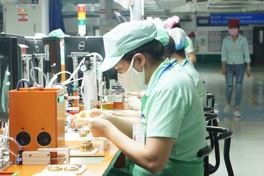 Mỗi tháng có khoảng 15.000 doanh nghiệp thành lập mới, 8.500 doanh nghiệp rút lui khỏi thị trường