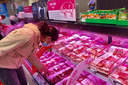 Nhập khẩu thịt heo tăng gấp 4 so với năm ngoái