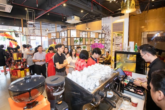 Việt Nam chưa thành cường quốc số 1 về cà phê, vì sao?