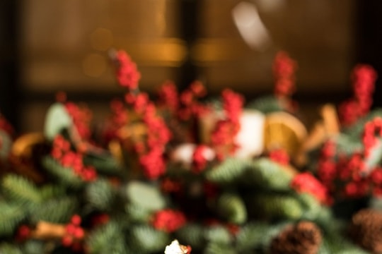 Thắp sáng mùa lễ hội cuối năm tại Hoiana