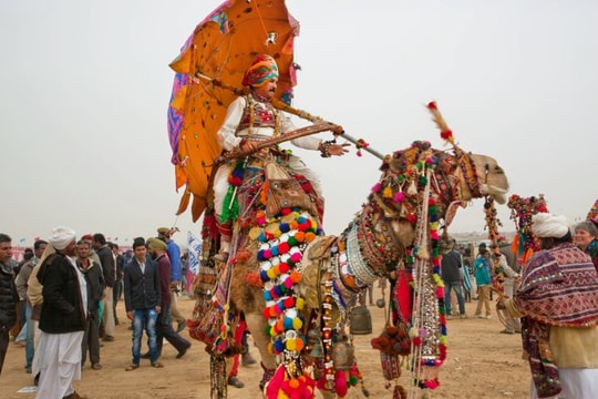 Sắc màu lễ hội sa mạc Jaisalmer