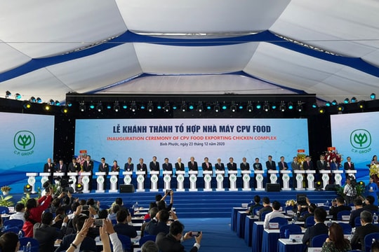C.P Việt Nam khánh thành tổ hợp chăn nuôi, chế biến thịt gà lớn nhất Đông Nam Á C.P Việt Nam khánh thành tổ hợp chăn nuôi, chế biến thịt gà lớn nhất Đông Nam Á