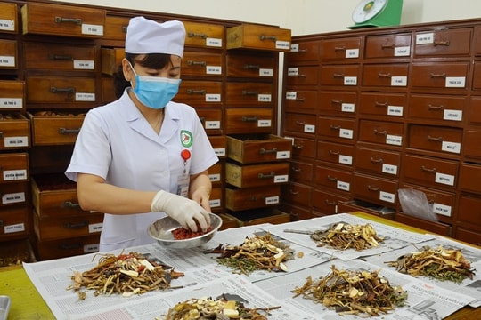 Siết chặt quản lý chất lượng dược liệu, thuốc cổ truyền