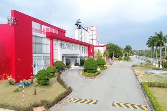 Bia SAB Việt Nam chính thức sáp nhập vào Anheuser-Busch InBev Việt Nam