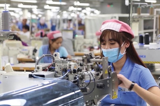 Những trường hợp được xóa nợ vay quỹ phát triển doanh nghiệp nhỏ và vừa