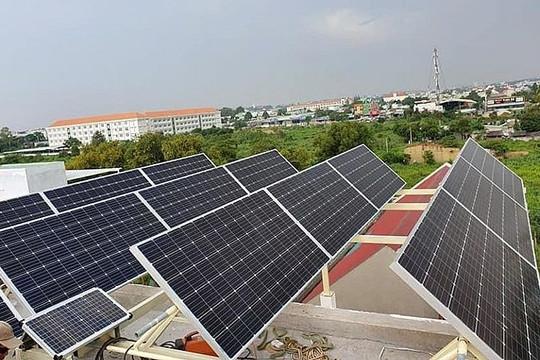 Tăng trưởng kinh tế nhanh thúc đẩy tiêu thụ năng lượng xanh tại Việt Nam