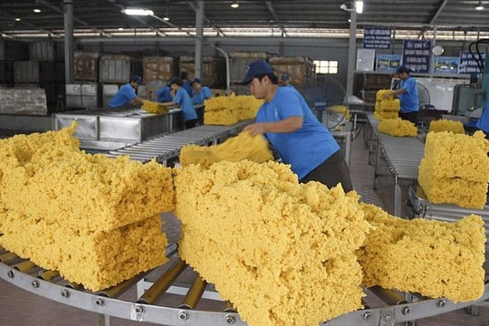 Trung Quốc chi hơn 1,5 tỷ USD nhập khẩu cao su Việt Nam