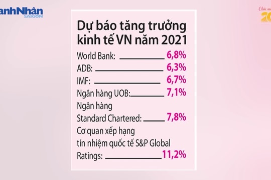 Bức tranh kinh tế năm 2020 và triển vọng 2021 qua góc nhìn chuyên gia