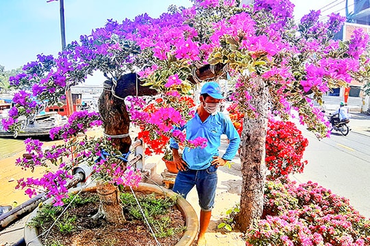 Chợ hoa Sài Gòn đìu hiu, người bán hy vọng vào những ngày giáp Tết