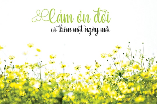 Cảm ơn đời có thêm một ngày mới