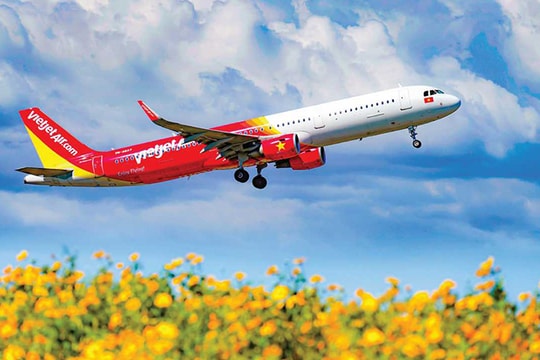 Cảm ơn... "cô Vy"