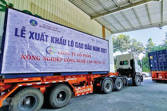 Việt Nam làm gì để tận dụng hết cơ hội các FTA?