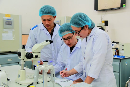 Đổi mới sáng tạo – cần năng lực hấp thụ công nghệ của doanh nghiệp