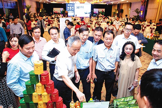 Một số kinh nghiệm và giải pháp nâng cao vai trò kết nối hội, câu lạc bộ thành viên