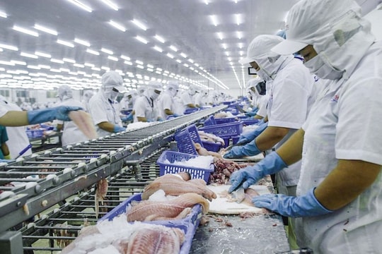 Quý I/2021: Hơn 2.000 doanh nghiệp vùng đồng bằng sông Cửu Long rút khỏi thị trường