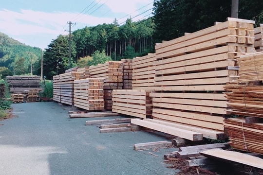 Gỗ Việt Nam có nguy cơ bị Mỹ đánh thuế nếu để gỗ Trung Quốc “đội lốt”