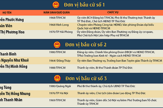 Công bố 94 đại biểu trúng cử HĐND TP.HCM nhiệm kỳ 2021-2026