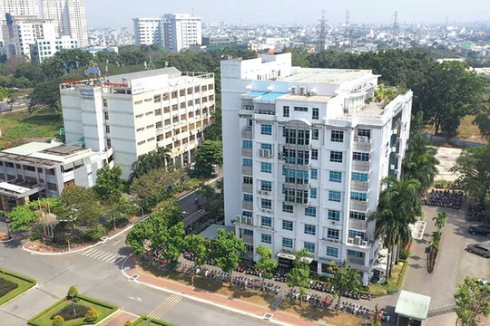 Chuyển đổi số hiệu quả: Phải có chuyên gia tư vấn chuyên sâu