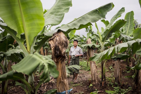 Các công ty Trung Quốc tăng cường “thu gom” đất trên khắp thế giới